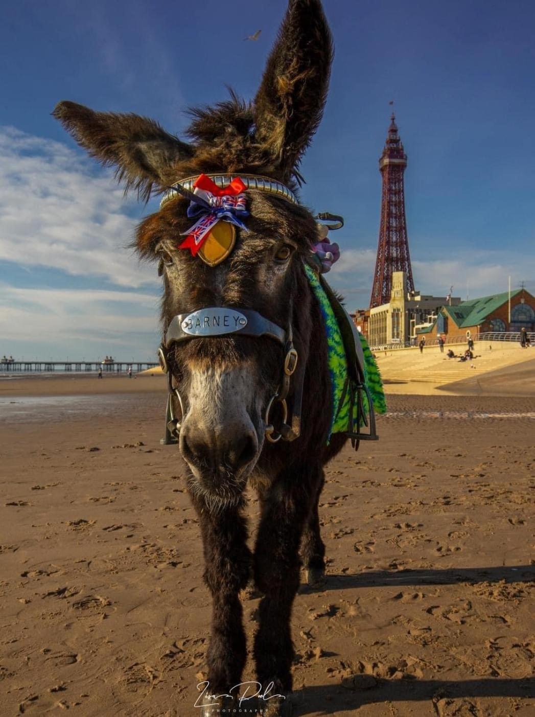 The Bailey Hotel Blackpool (Adults Only) Dış mekan fotoğraf